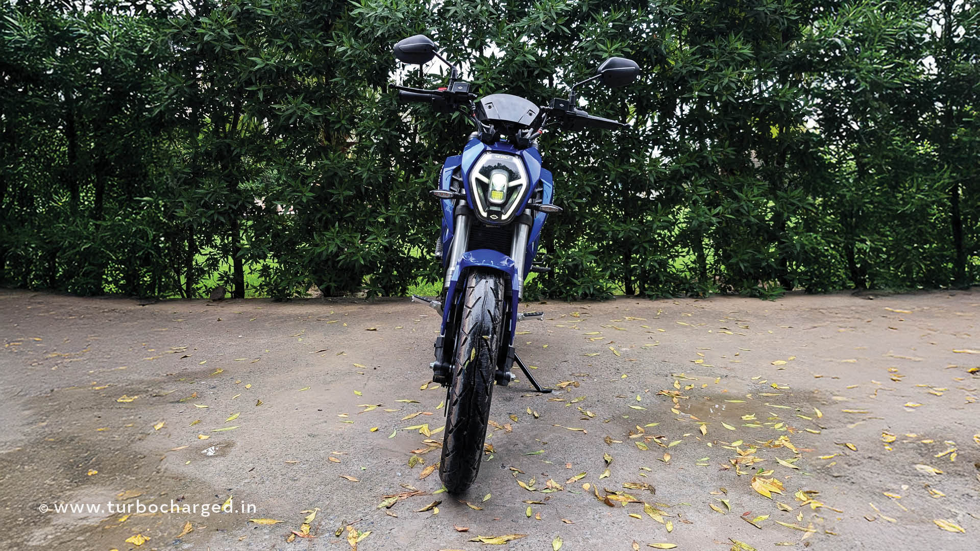 RVX